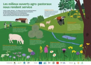 Poster milieux ouverts agro-pastoraux