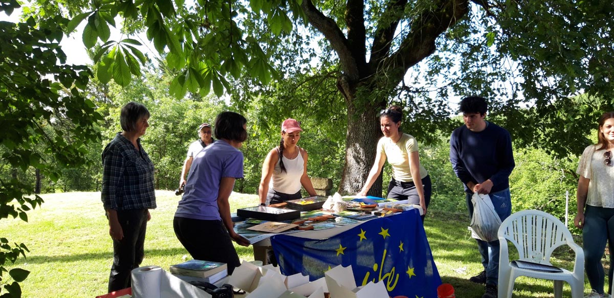 Photo de la fete des prairies et des abeilles