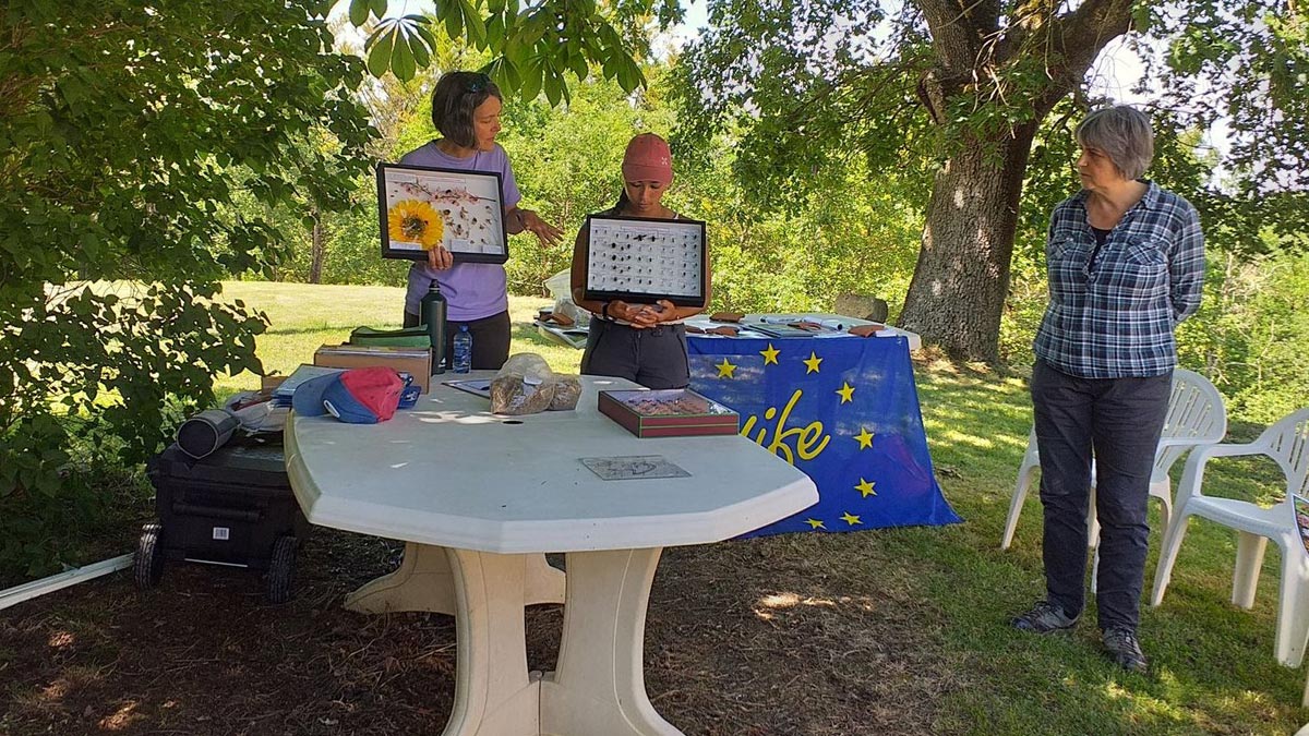 Photo de la fete des prairies et des abeilles