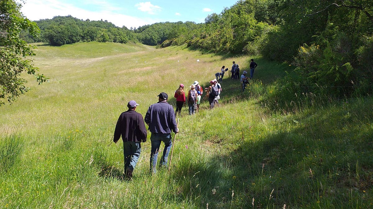 Photo de la fete des prairies et des abeilles