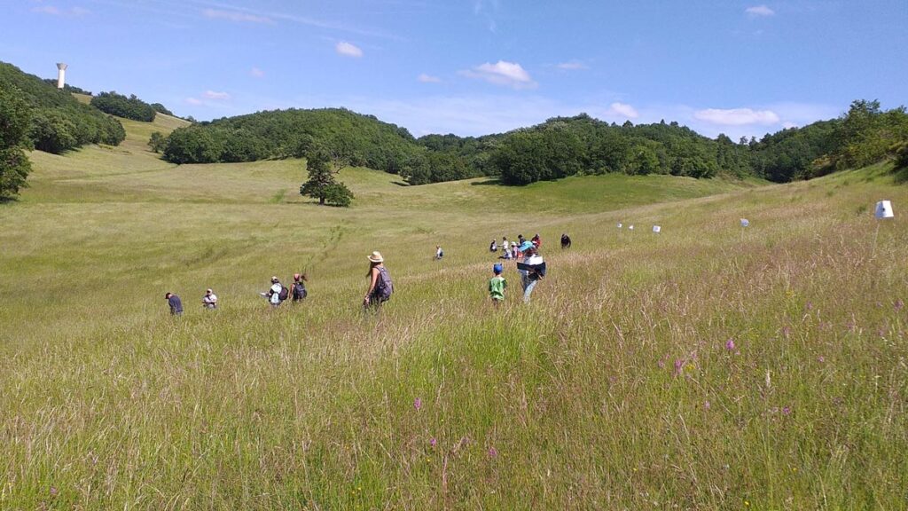 Photo de la fete des prairies et des abeilles